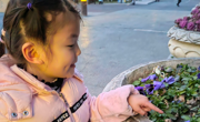 恒源园：许一场春暖花开之约